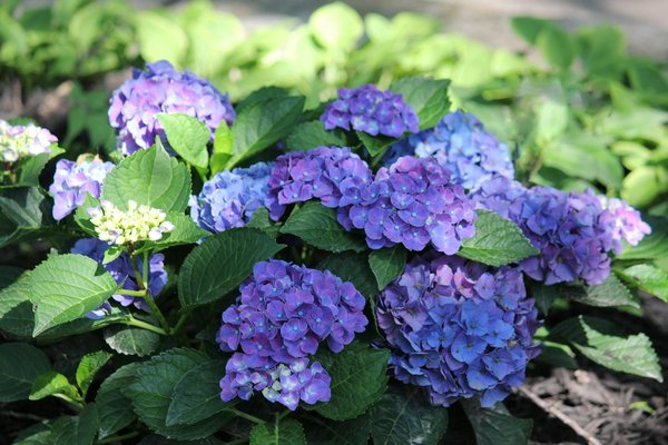 Affiche art abstrait géométrique : un voyage visuel captivant