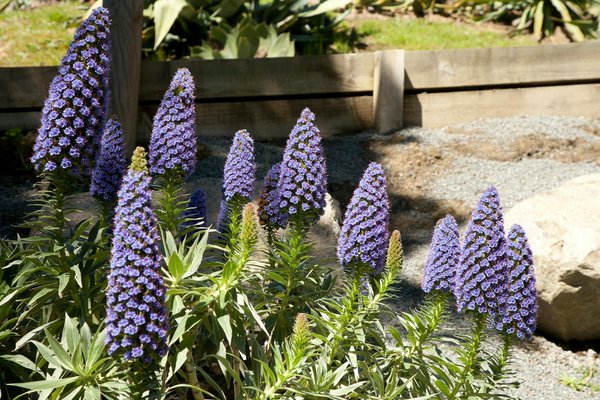 Comment choisir le bloc porte idéal pour votre intérieur